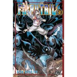 Fairy Tail : T030