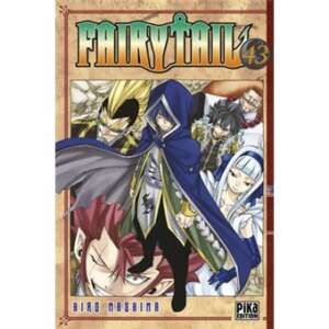Fairy Tail : T043