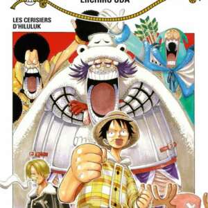 One Piece : T17