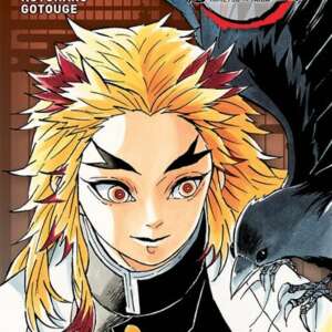 Demon Slayer Edition Pilier : T02