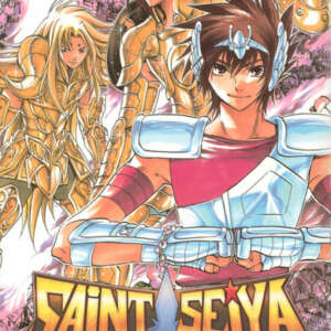 Saint Seiya - The lost canvas - La légende d'Hadès : T02