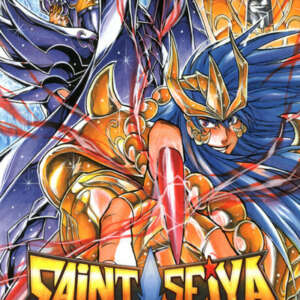 Saint Seiya - The lost canvas - La légende d'Hadès : T12