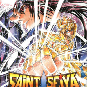 Saint Seiya - The lost canvas - La légende d'Hadès : T14