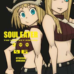 Soul Eater - Perfect Edition : T06