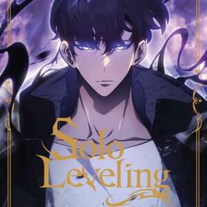 Solo leveling : T13