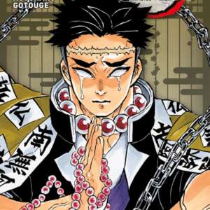 Demon Slayer Edition Pilier : T05