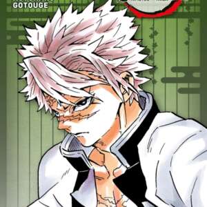 Demon Slayer Edition Pilier : T06