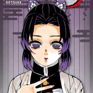 Demon Slayer Edition Pilier : T07