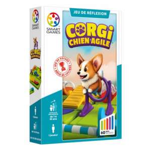Corgi, chien agile