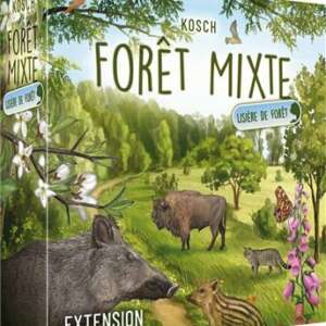 Forêt mixte : Lisière de forêt (ext)