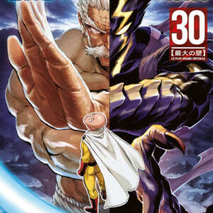 One-punch man : T30