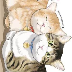 Félin pour l'autre : T05