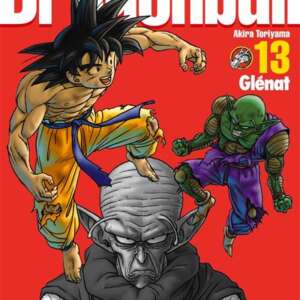Dragon Ball - Perfect Edition : T13