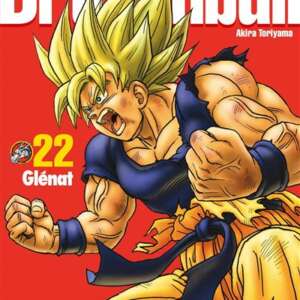 Dragon Ball - Perfect Edition : T22