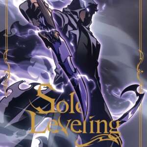 Solo leveling : T19