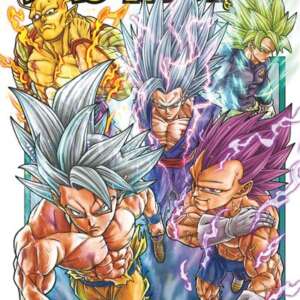 Dragon Ball Super : T24