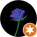 Melissa Peres profile picture