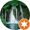 Vesna profile picture