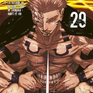 Jujutsu kaisen : T29